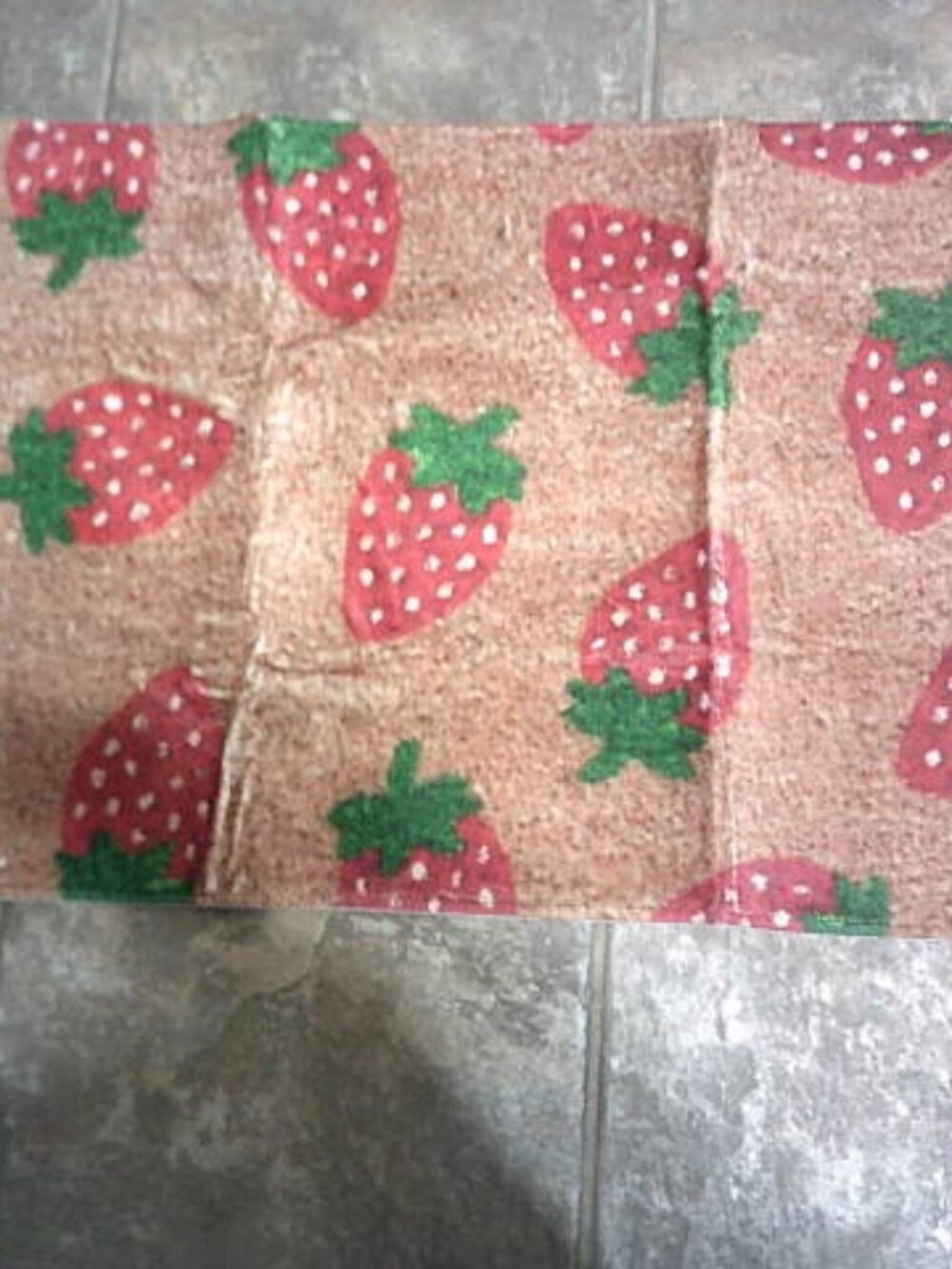 NEW AMAZON DOOR FLOOR PORCH MAT STRAWBERRY DESIGN SOFT POLYESTER NON-SKID BACK
